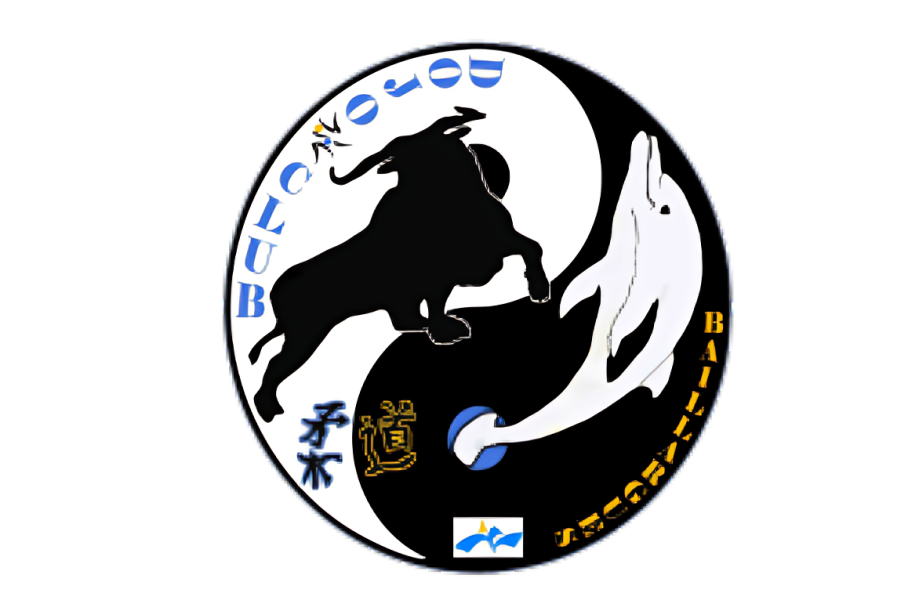 Dojo Baillarguois